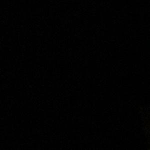 Meet your Posher, Leonel